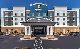 Comfort Inn And Suites Florence Sc